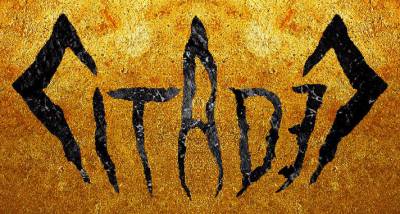 logo Citadel (USA-1)